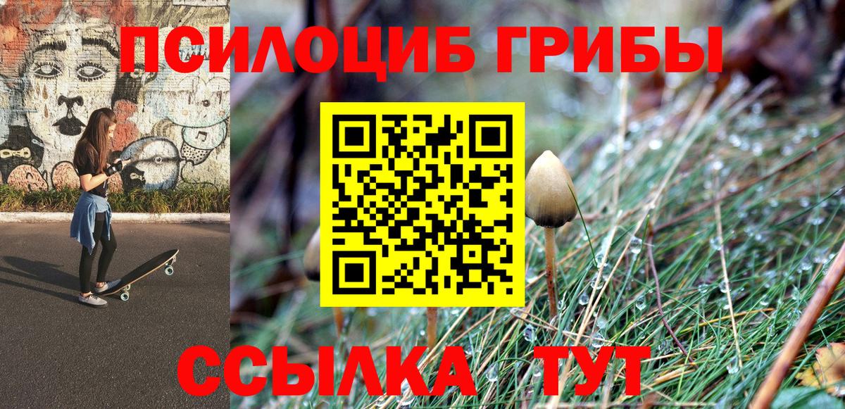 Галлюциногенные грибы Cubensis Балабаново
